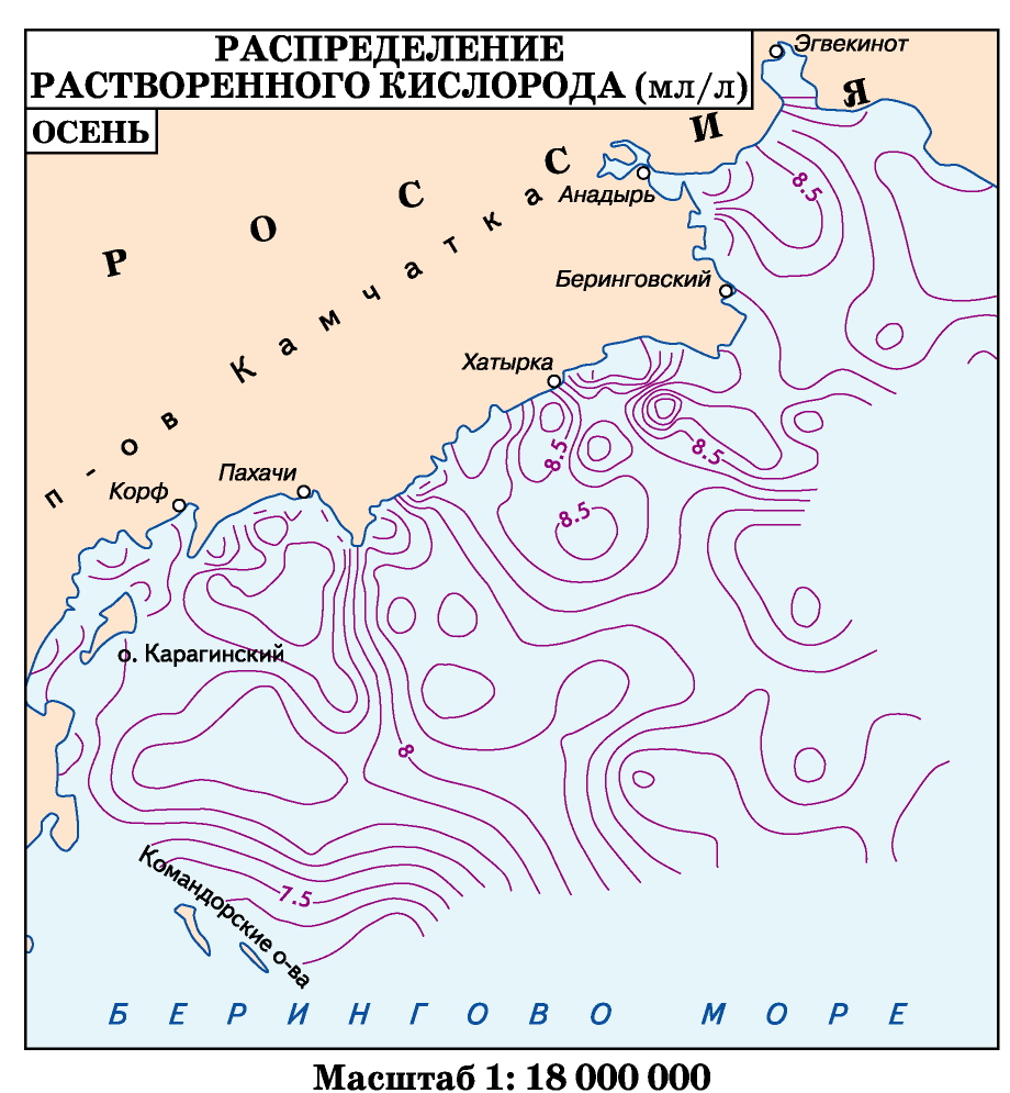 (Bering Sea)